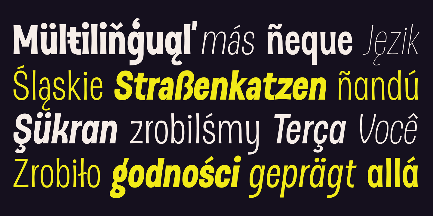 Dsert Heavy Italic Font preview